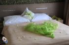 Ponteo - Activity Park Rusovce Galer�a